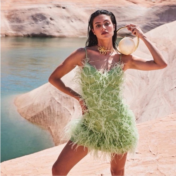 Cult Gaia Zariah Mint Feathered Dress